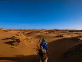 Mengapa yang diangkat menjadi Rasul itu manusia bukan malaikat? Allah mengutus seorang manusia sebagai Rasul, kecuali sebagai uswah