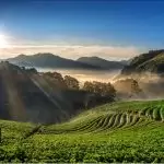 Shalat dan kesucian merupakan hal yang tak terpisahkan terutama kesucian hati, karena akan mendatangkan hikmah bagi sekitar.