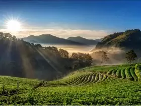 Shalat dan kesucian merupakan hal yang tak terpisahkan terutama kesucian hati, karena akan mendatangkan hikmah bagi sekitar.