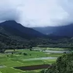 negeri yang baik