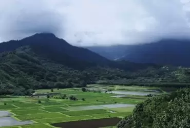 negeri yang baik