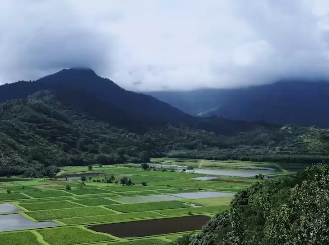 negeri yang baik